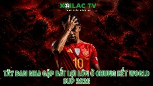 Tây Ban Nha gặp bất lợi ở chung kết World Cup